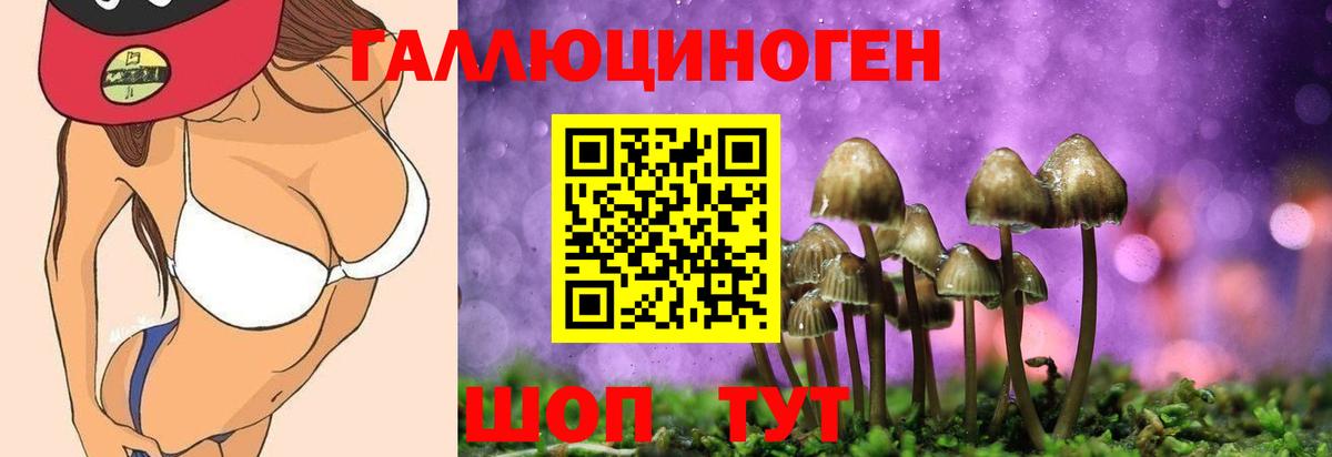 купить закладку  Псилоцибиновые грибы Psilocybe  Вход с VPN  Новоуральск 